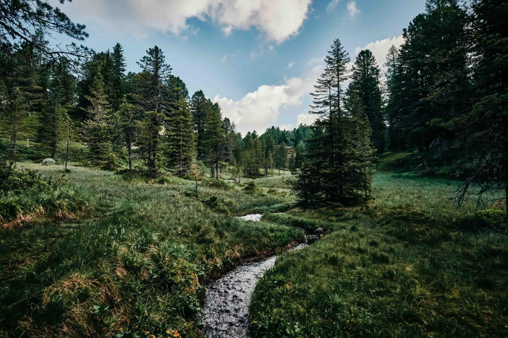 Hotel Hochschober Turracher Hoehe Bagian luar foto